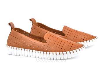 NESSI 18390/CAMEL LICO