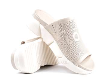 Alpino 20YT-7025/4111