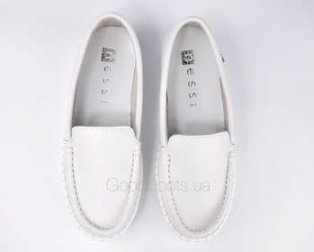 NESSI 20701/BIALY 412