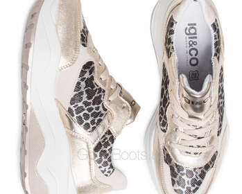 IGI&CO 5168077