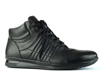 STEPTER 6281
