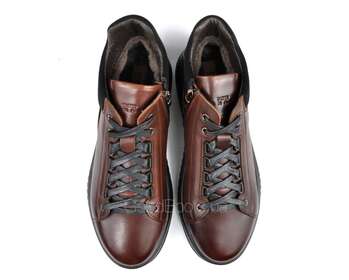 DAVIS 11543-14