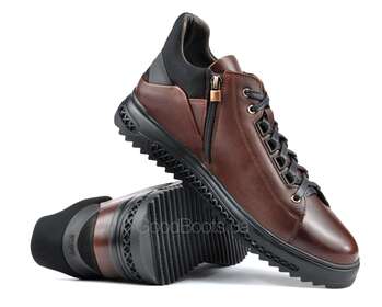 DAVIS 11543-14