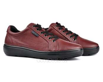 STEPTER 7151/BORDO LICO