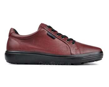 STEPTER 7151/BORDO LICO