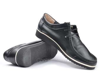 LESTA 201-4192-1-1036