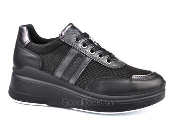 IGI&CO 6154533