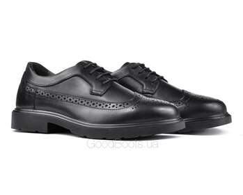 IGI&CO 6100300