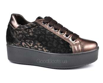 IGI&CO 6163211