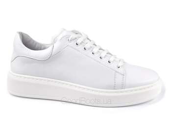 STEPTER 7489/HITE