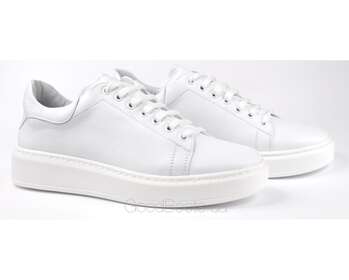 STEPTER 7489/HITE