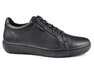 STEPTER 7151/BLACK/LICO