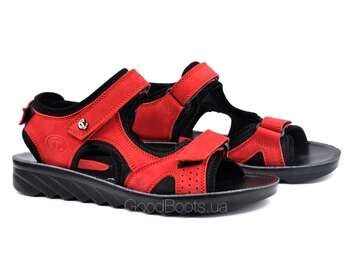 STEPTER 7179/RED NUB