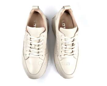 LOTTINI 41-4886/880