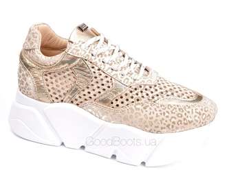 LOTTINI 41-521/1151-1053
